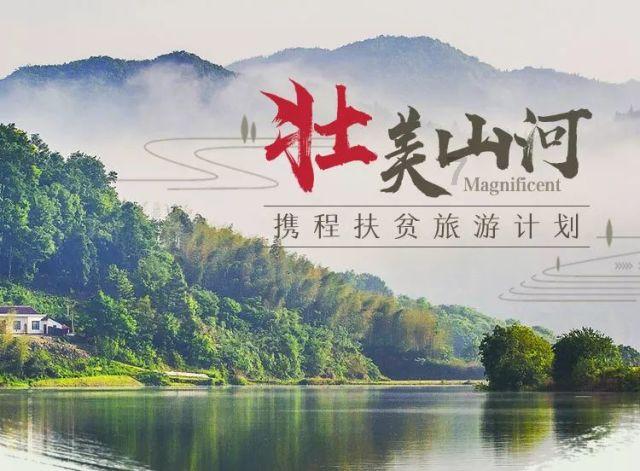 寻找火鸡